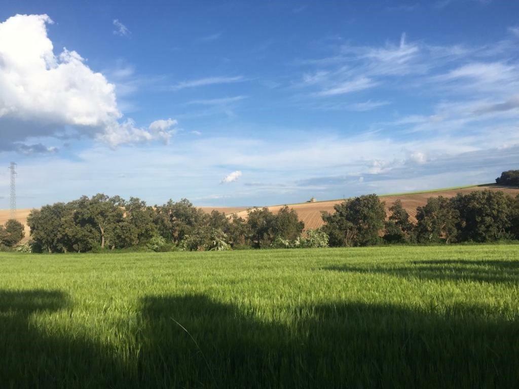 Vila El Carro Del Abuelo Villovela de Pirón Exteriér fotografie